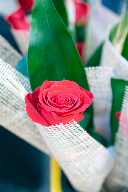 Bouquet red roses, Sant Jordi's day