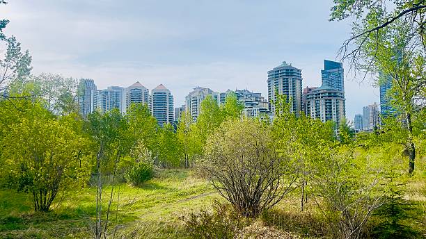 istock Downtown Calgary on a morning in may 2025 2216230941