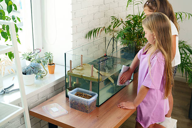 istock Two children clean a fish tank at home while learning about aquatic life and responsibility during a sunny afternoon 2216231756