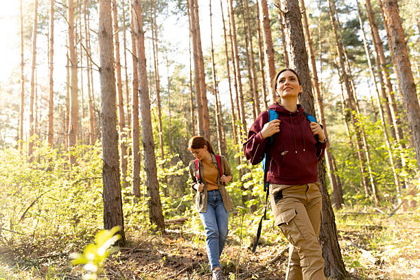 istock Friends enjoy a vibrant forest hike while soaking in nature's beauty on a sunny day 2216233688