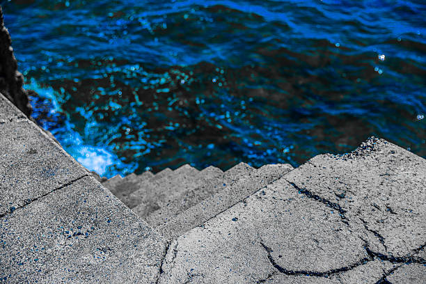 Close-up of a metal ladder fixed to a rocky shoreline, leading into dark blue coastal water with green and brown seaweed floating near the surface.