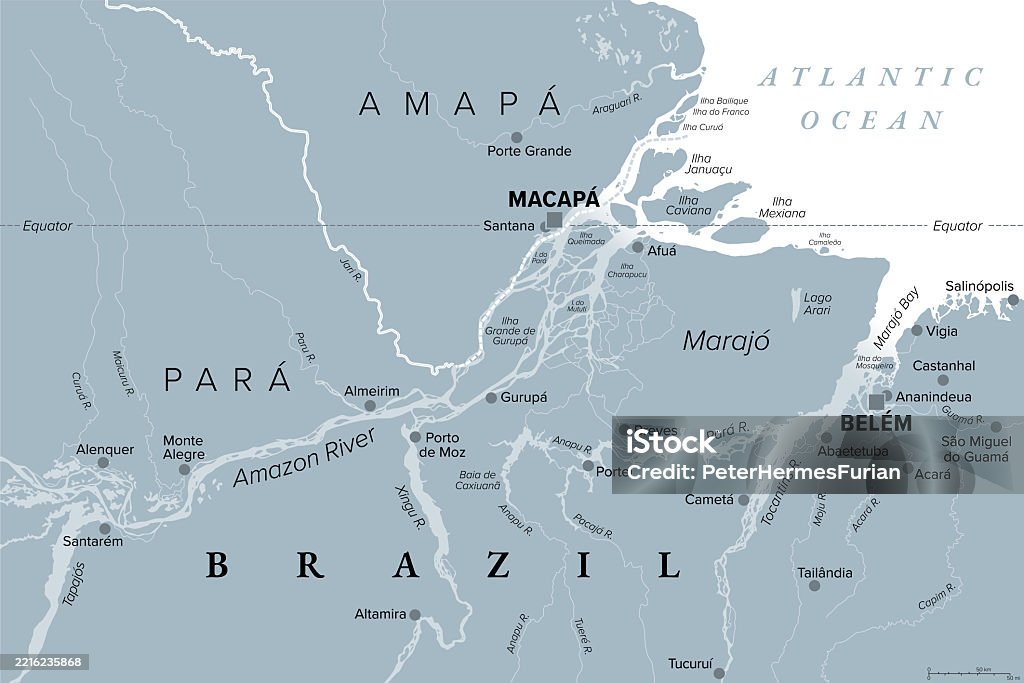 Delta Rio Amazonas Ilustración de Delta Del Amazonas Amazonas Mapa Político Gris y más ...