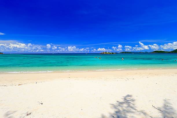 istock Summer Beach with Group of People Doing Activity 2216236797