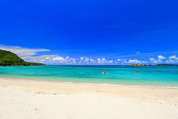istock Summer Beach with Group of People Doing Activity 2216237623