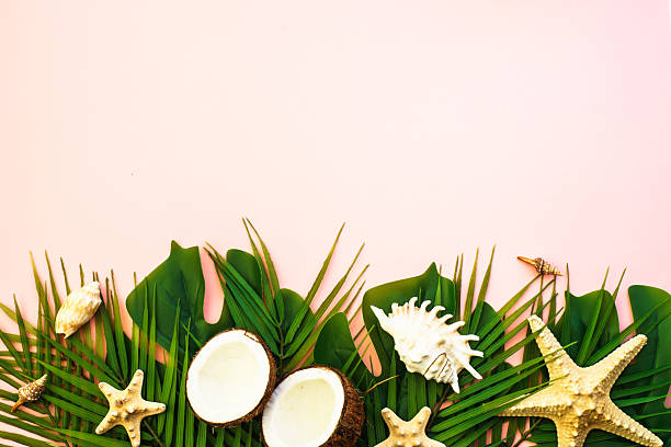 istock Summer flat lay background tropacal leaves on pink. 2216239507