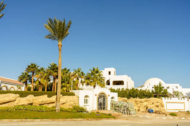 istock A large white house with a palm tree in front of it 2216240776