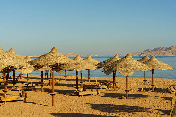 istock A beach with many umbrellas and tables 2216245723
