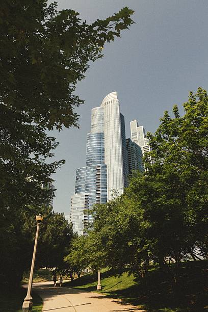 Modern skyscrapers rise above lush green trees in a city park on a sunny day, showcasing urban architecture and nature.