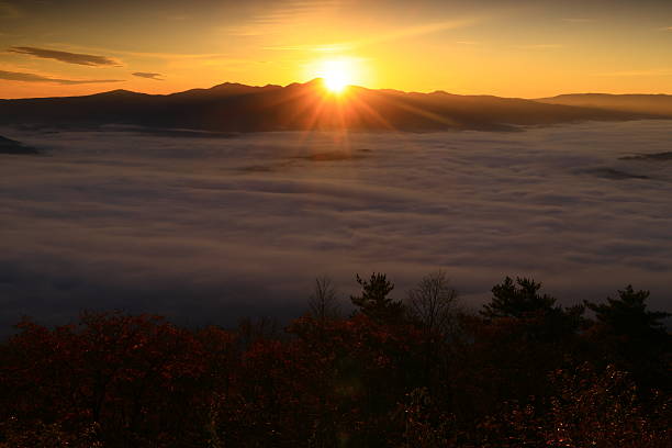 Sea of ​​clouds at sunrise