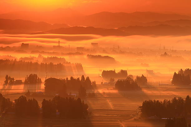 Sea of ​​clouds at sunrise
