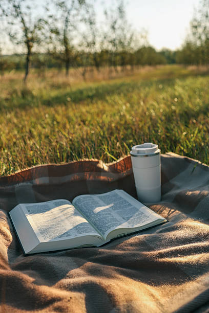 istock Blanket, Bible and thermos with tea, solitude on the field 2216247828
