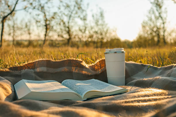 Blanket, Bible and thermos with tea, solitude on the field.