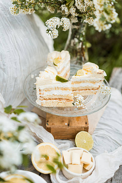 istock A rustic cottagecore dessert scene featuring slices of white sponge cake with creamy white chocolate syrup, lime, and lemon, set on vintage floral china with soft pastel linens and delicate wildflower 2216250543