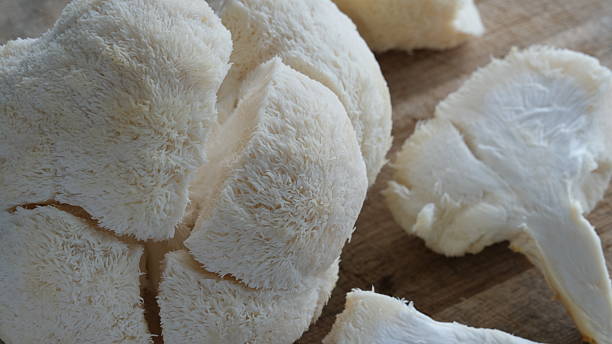 istock Monkey mushroom or Hericium erinaceus, commonly known as Lion's Mane. 2216253836
