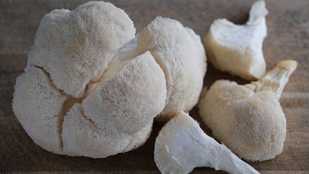 istock Monkey mushroom or Hericium erinaceus, commonly known as Lion's Mane. 2216254157