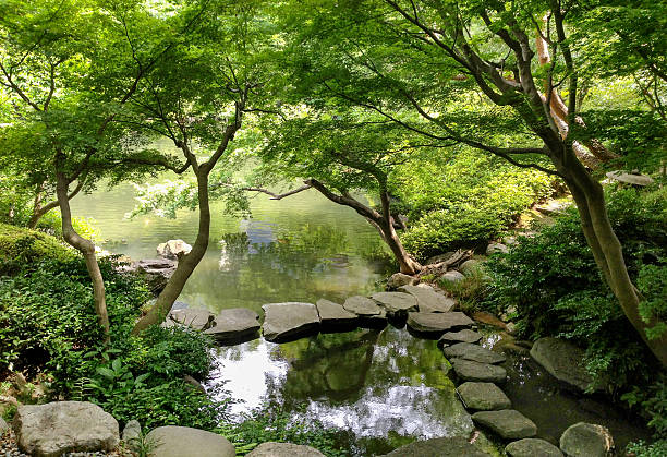 Japanese Monet's pond known as transparent water located in Gifu