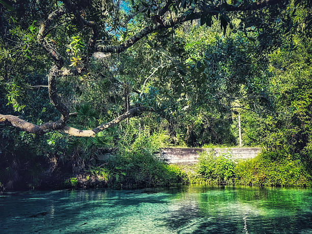 istock Crystal blue Springs with beautiful tree canopy 2216256988
