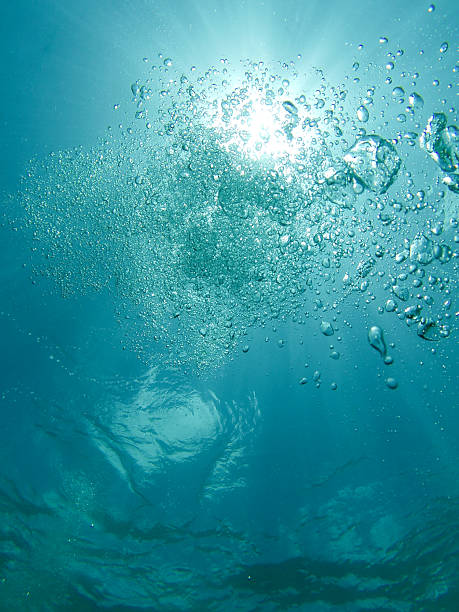 istock Scuba Diver's View Of The Water's Surface 2216257390