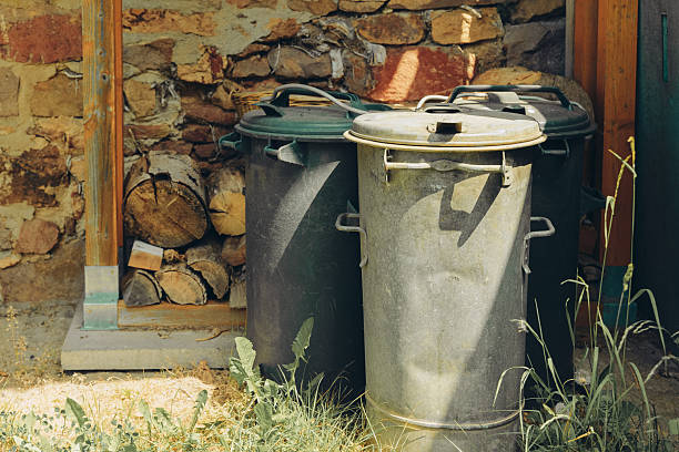 Urban waste management system showcases a blend of nature and architecture in a rustic setting near pile of firewood