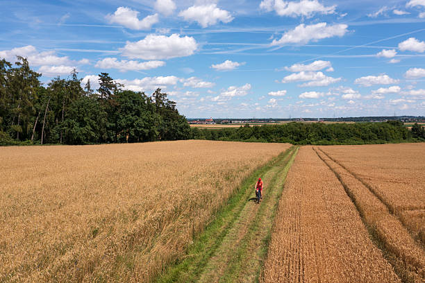 istock Summer landscape with female cyclist 2216259935