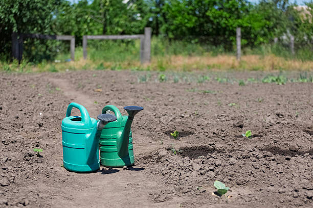 istock Watering cans for manual watering on plowed 2216260612
