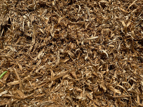 istock Wood shavings full background, leftover after logging 2216263219