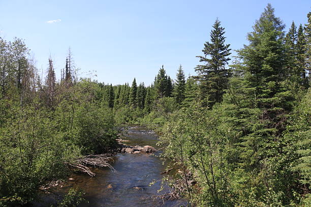 istock Piprell Lake Saskatchewan Area Scenery 2216264645