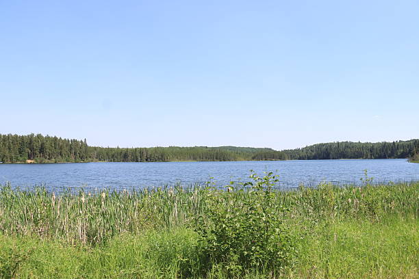 Piprell Lake Saskatchewan Area Scenery