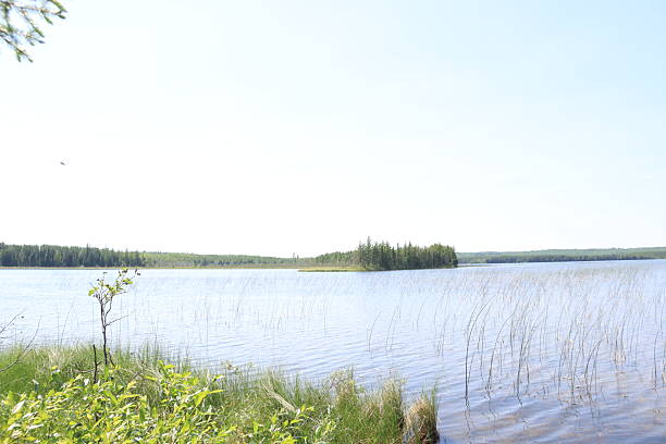 On my way to Piprell Lake, I often stop to take photographs along the way. There is creeks, several lakes, and some wildlife.
