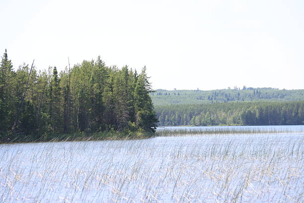 Piprell Lake Saskatchewan Area Scenery