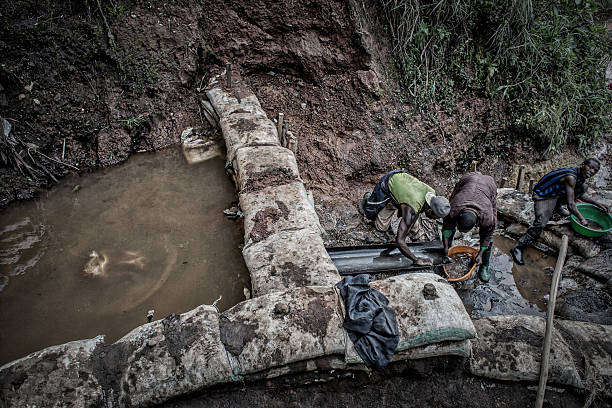 Democratic Republic of Congo, Region of North Kivu: raw minerals (coltan and cobalt) are carried to the river where they will be washed, eliminating stones and sand, Every sack weighs 50 Kilograms.