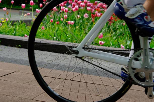 Bicycling in the city in spring time, park with tulip flowers, bicycle wheel, healthy life style, leisure activity in Moscow city