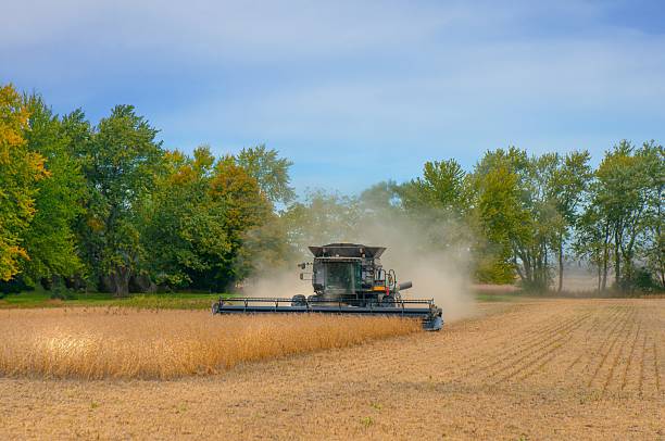istock Soy Bean Harvest-Howard County, Indiana 2216269517