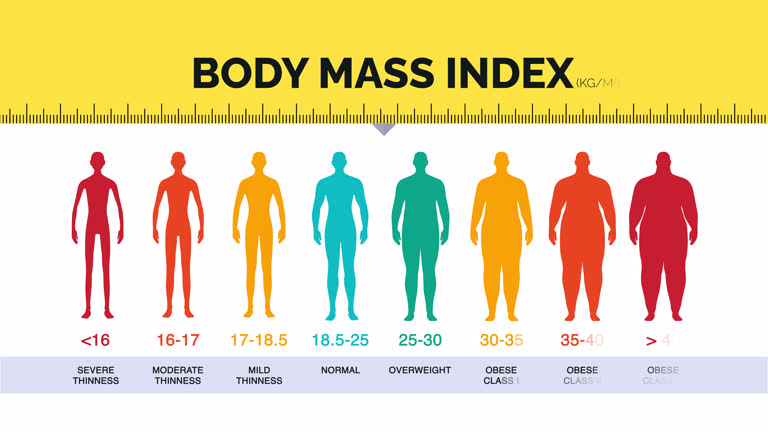 Bmi Visualed 680+ Body Mass Index Stock Videos and Royalty-Free Footage - iStock