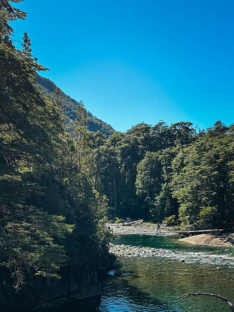 istock Clear green-blue river flowing through forested valley 2216279459