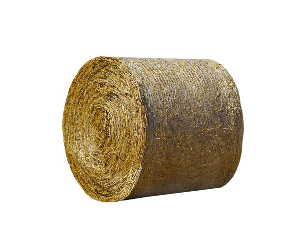 istock Round hay bale isolated on a white background 2216280109
