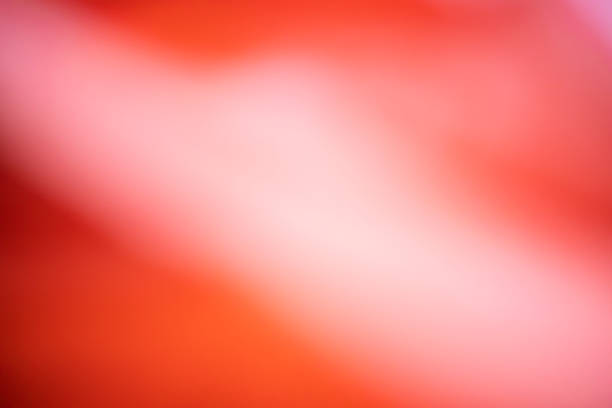 Red abstract smooth shapes texture background.Red  pattern abstract background