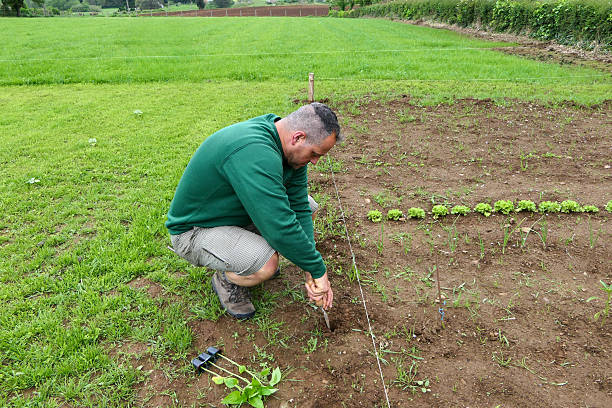 istock Crouched in the Garden: Mindful Farming in Practice 2216285374
