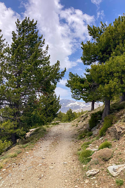 istock Trail to Mulhacen peak in the spring 2216285661
