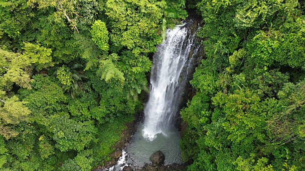 istock Tunan Talawaan waterfall located in Sulawesi, Indonesia 2216290520