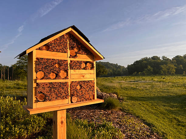 istock Bee Hotel in Public Park 2216296675