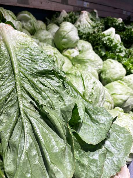 istock Green cabbage leaves close up 2216300997