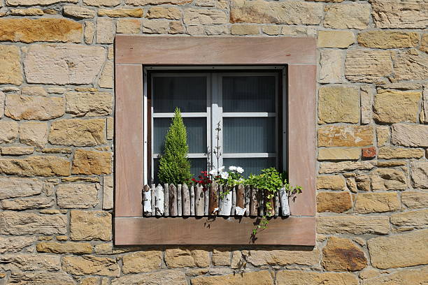 A Cuckoo bird perched in the window of an old house