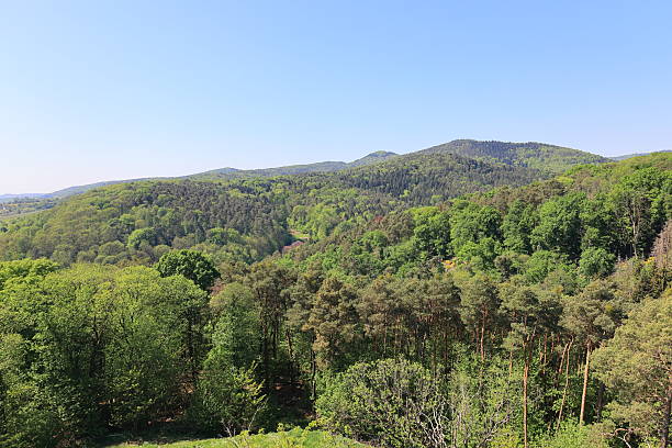istock View over the Palatinate Forest near Bad Bergzabern 2216303963