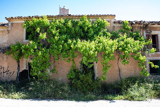 istock Abandoned houses in ruins devoured by vegetation and nature 2216307258
