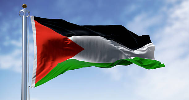 istock Palestine national flag waving on a clear day 2216308376