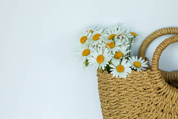 istock Rustic woven straw bag filled with fresh white daisies on a clean light background. Perfect for summer, nature, countryside, minimalist aesthetic, boho lifestyle or eco-friendly living concepts. 2216309241