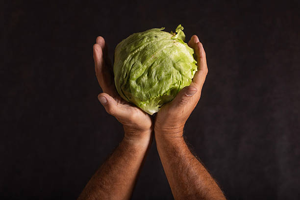 A head of iceberg lettuce held between a man's hands
