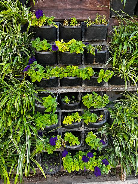 Vertical garden with purple flowers