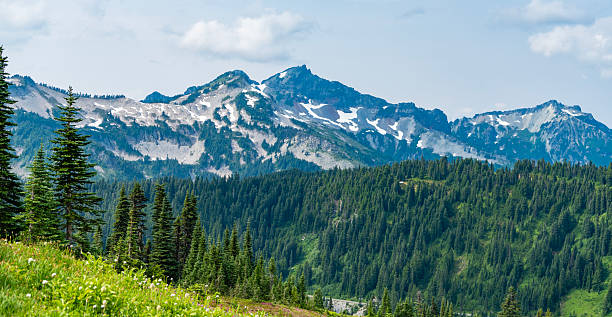 istock Mountain valley. Pine tree and mountain landscape with forest. Forest nature with mount. Green valley landscape. Nature in mountain countryside. Landscape of countryside valley. Enchanting forest 2216319338